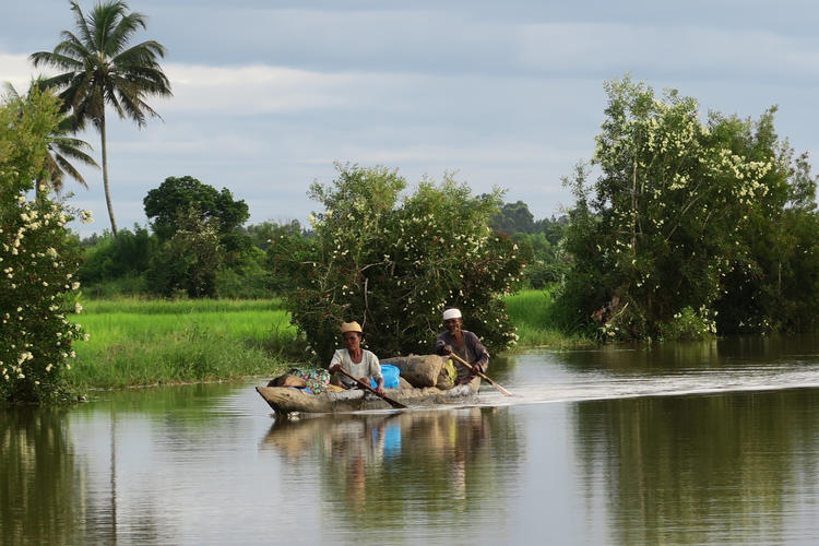 two people in a row boat
