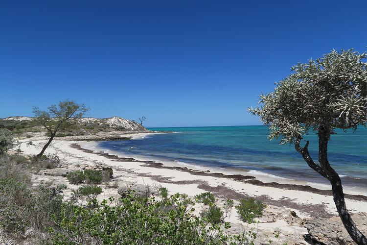 a beach and the ocean