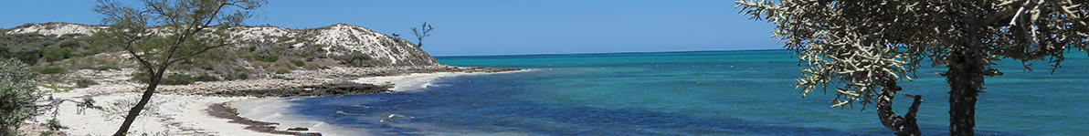 a beach and the ocean